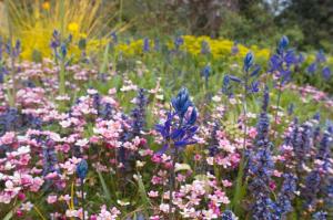 Bugle,Quamash & Mossy Sax