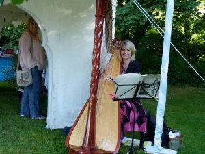 Harpist (2)