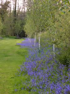 SAMSUNG CAMERA PICTURES