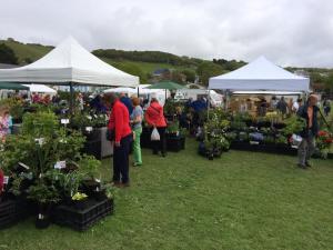 Ceredigion plant fair
