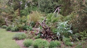 IMG_20160525_181701995