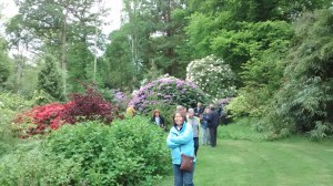 IMG_20160525_191425175