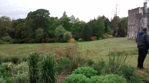 IMG_20160525_192202799