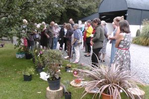 Summer Medley 2016 2